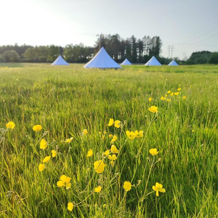 Dorset Glamping Fields Hotel Corfe Mullen Eksteriør billede